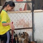 Uninter de Maringá lança campanha para ajudar animais de rua