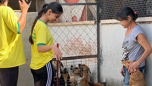 AgroPet Leão Dourado