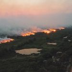 Pantanal em chamas: o descaso que asfixia o futuro