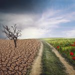Dia Mundial do Meio Ambiente: escolhas sensatas para garantir o futuro